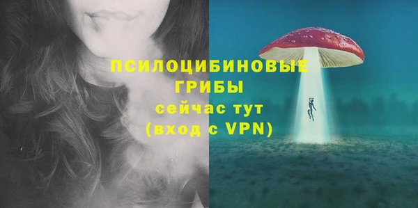 дмт Алексин