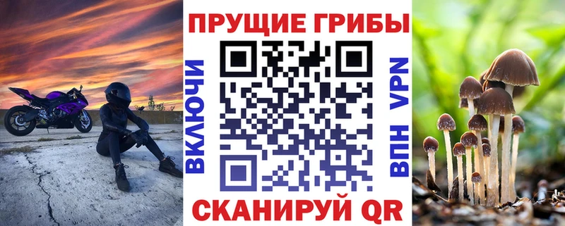 мега рабочий сайт  Старая Русса  Галлюциногенные грибы Magic Shrooms 