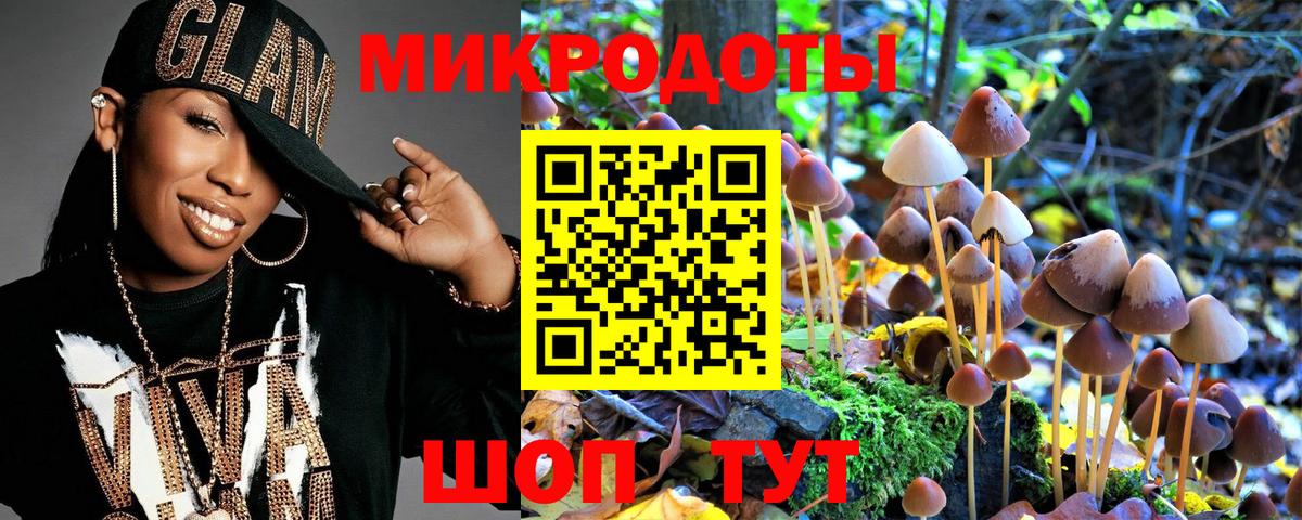Псилоцибиновые грибы Psilocybe  Вход с VPN  купить наркотики сайты  Старая Русса 